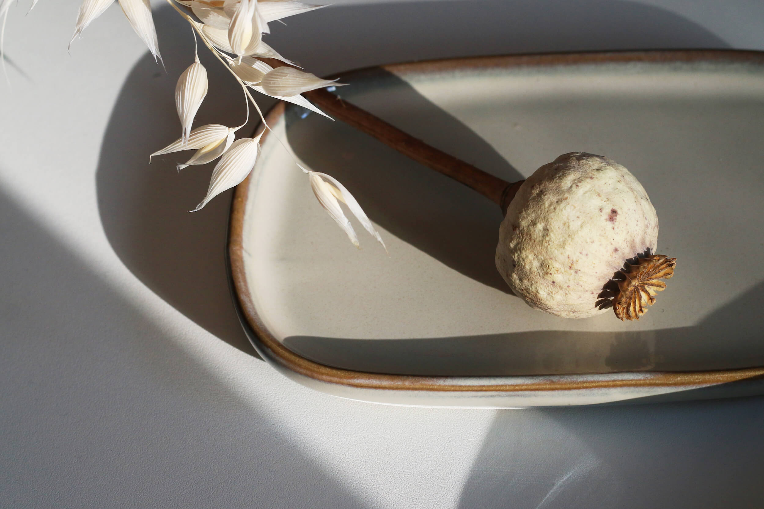 TAKINOA photo shoot of natural object laying on a ceramic plate with light and shadow symbolizing TAKINOA using a holistic approach