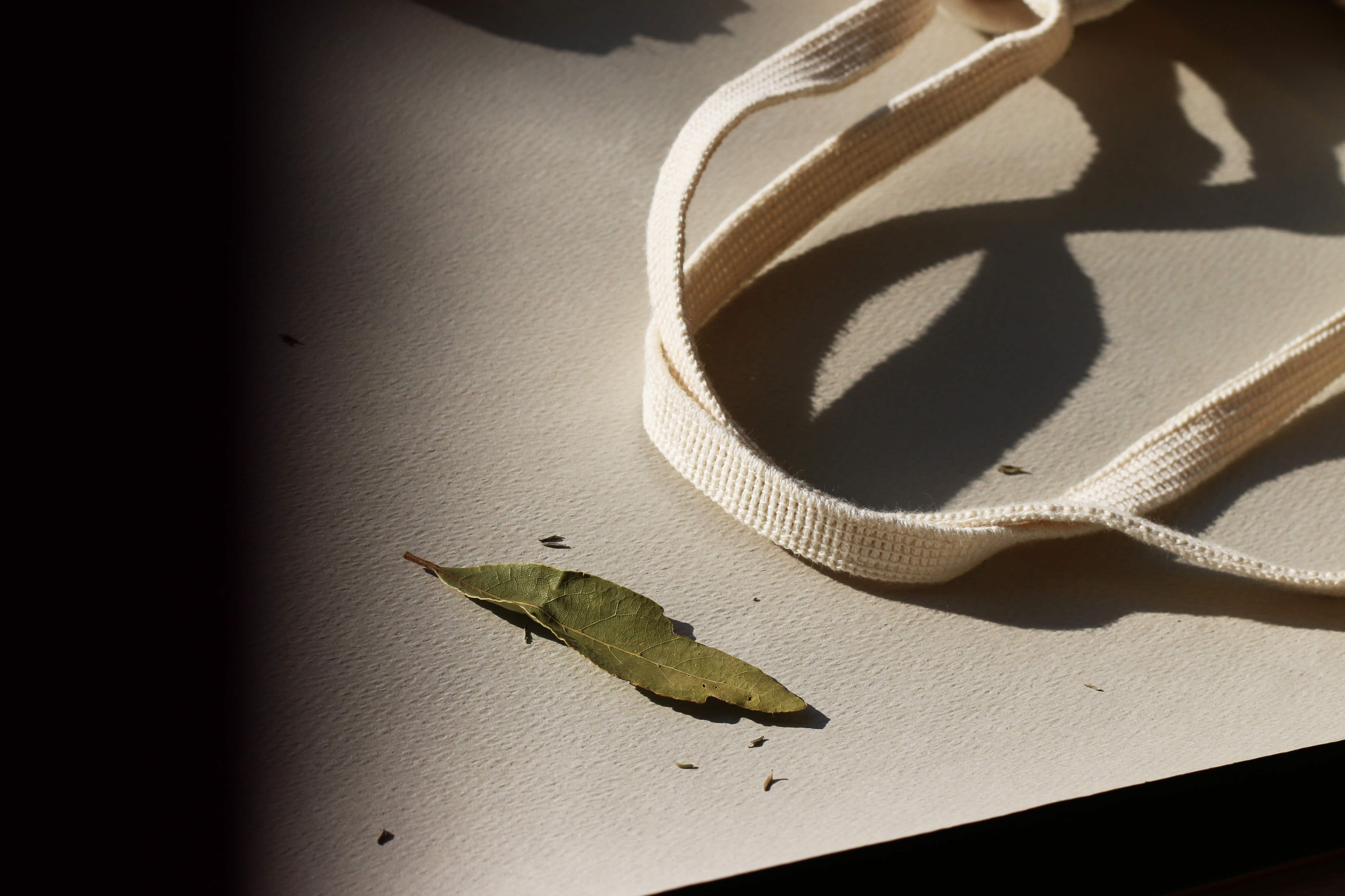 TAKINOA bayleaves symbolizing food for a better life.
